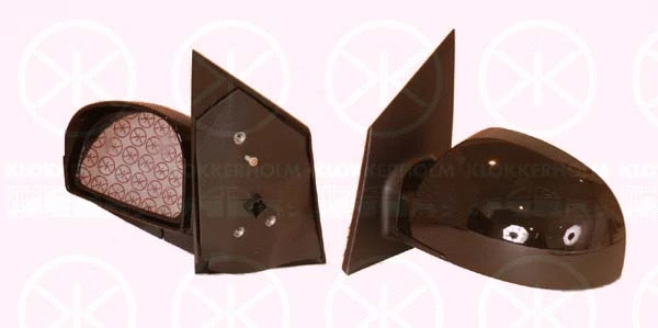 Exterior Mirror (31271042)