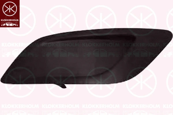 Cover, bumper (2533914)