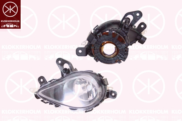 Front Fog Light (50640282)