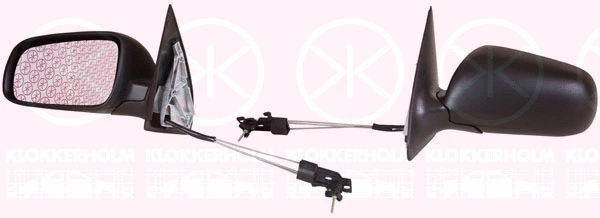 Exterior Mirror (75141024)