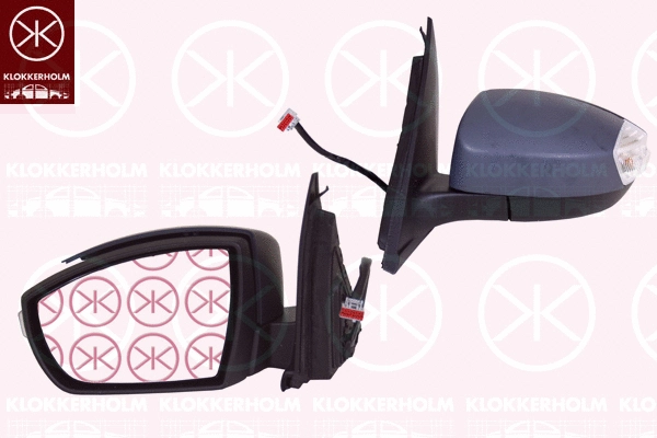 Exterior Mirror (25841047)