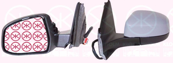 Exterior Mirror (25561048)