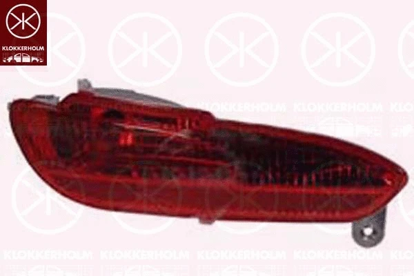 Rear Fog Light (20700783A1)