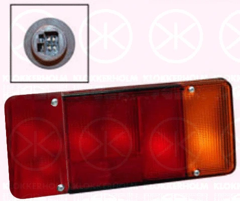 Tail Light Assembly (20960701)