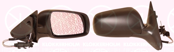Exterior Mirror (75201024)