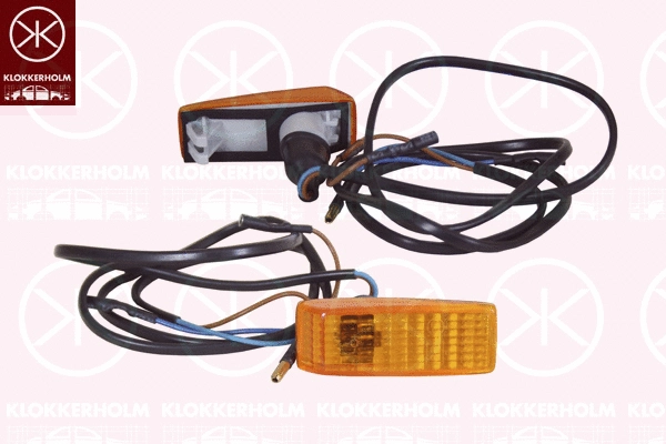 Direction Indicator (35110550)