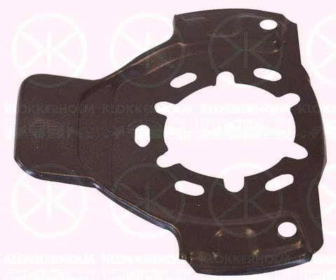 Splash Guard, brake disc (5051379)