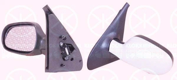 Exterior Mirror (60321048)