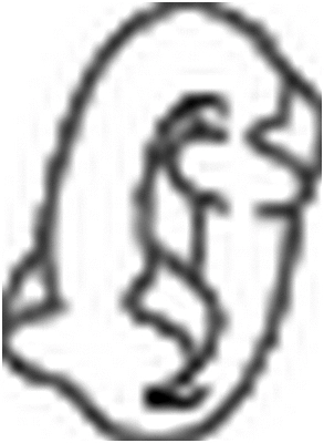 Rubber Strip, exhaust system (255-841)