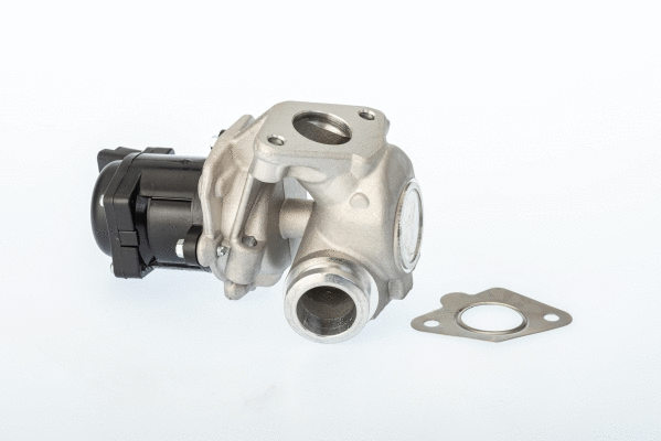 EGR Valve (711021D/1)