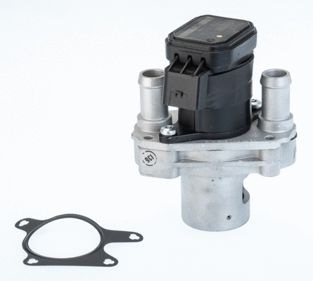 EGR Valve (710476R)
