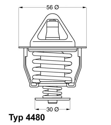 Thermostat, coolant (4480.82D)