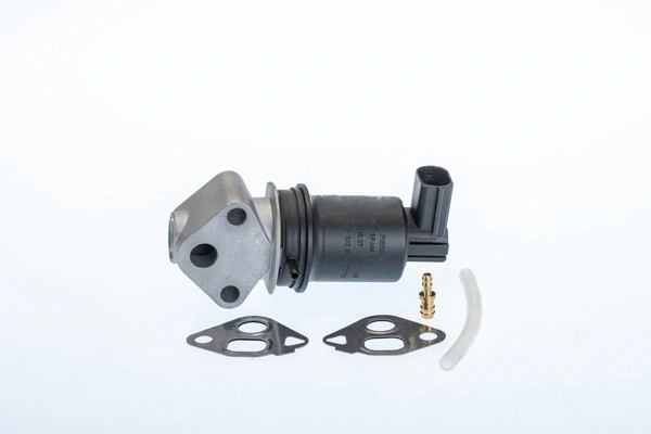 EGR Valve (710971R)