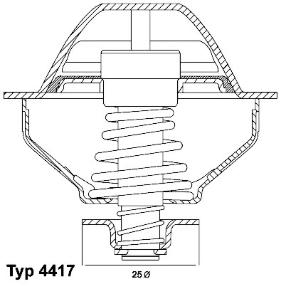 Thermostat, coolant (4417.81D)