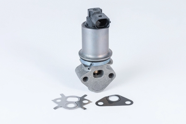 EGR Valve (710771D0)