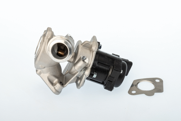 EGR Valve (711020D/1)