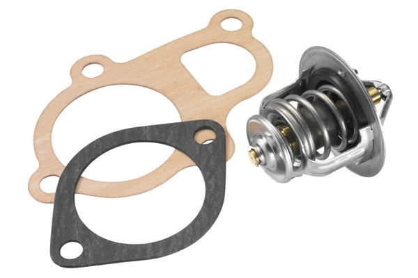 Thermostat, coolant (410348.82D)