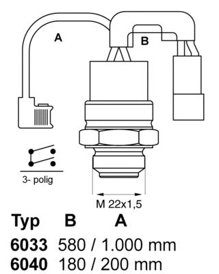 Temperature Switch, radiator fan (6040.88)