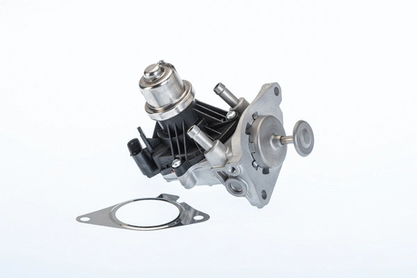 EGR Valve (710980R)
