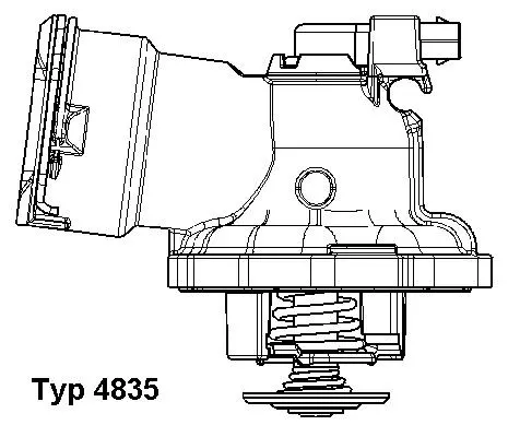 Thermostat, coolant