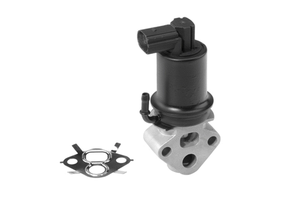 EGR Valve (710932R)