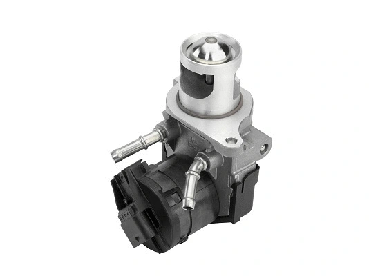 EGR Valve (710327D/1)