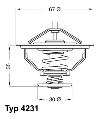 Thermostat, coolant (4231.80D)