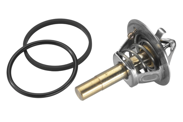 Thermostat, coolant (410779.88D)