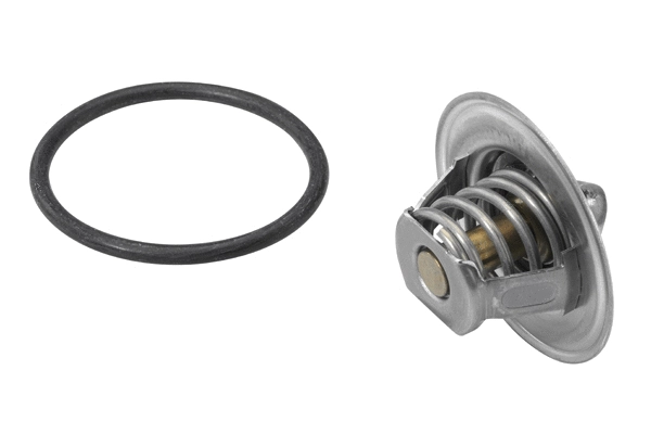 Thermostat, coolant