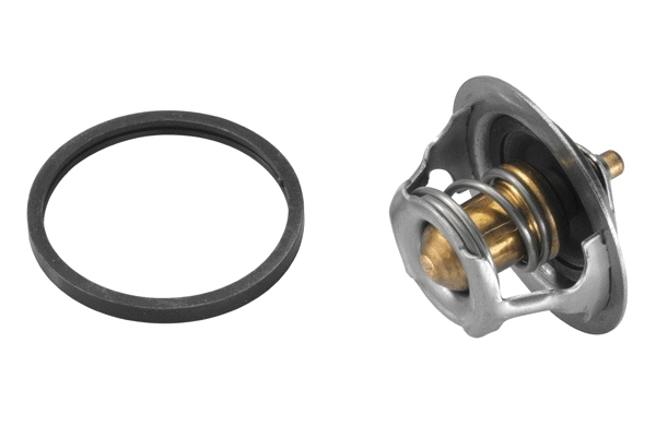 Thermostat, coolant