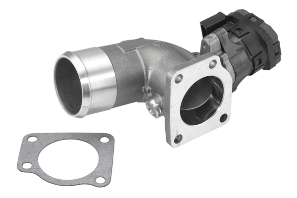 EGR Module