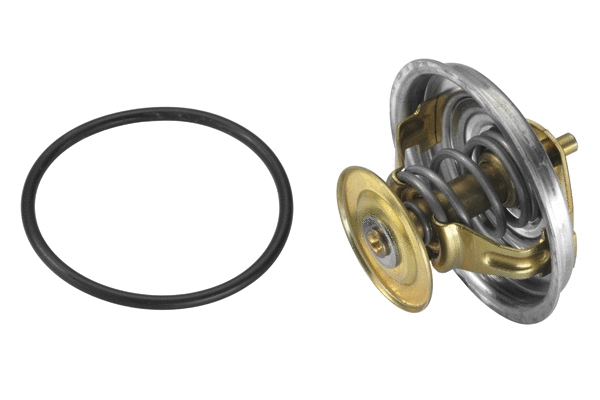 Thermostat, coolant