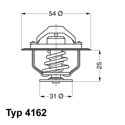 Thermostat, coolant (4162.79D)