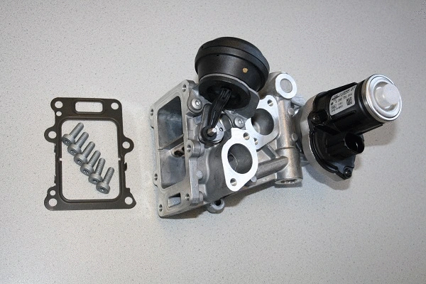 EGR Valve (710987D1)