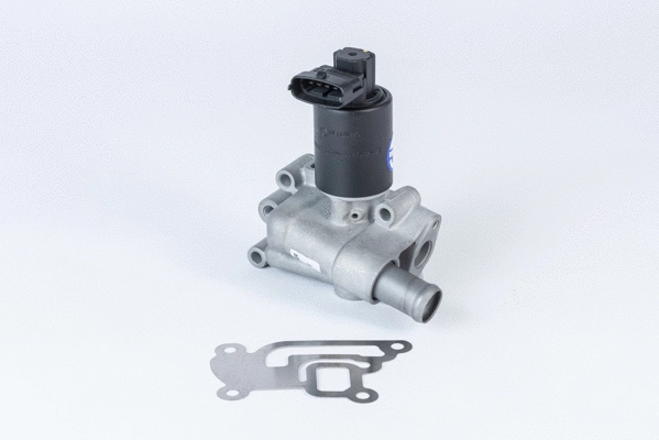 EGR Valve (710955R)