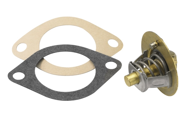 Thermostat, coolant