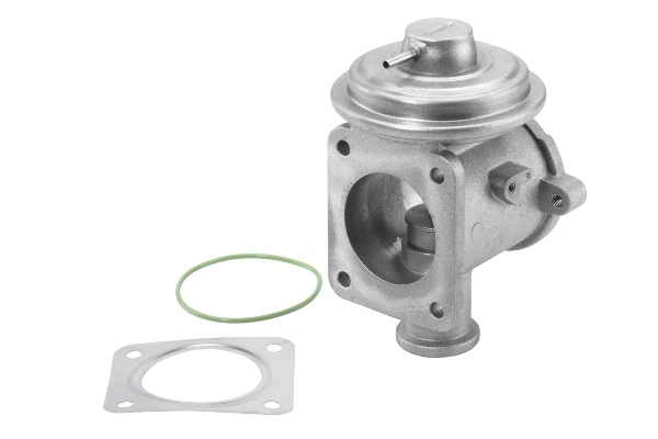 EGR Valve (710924R)