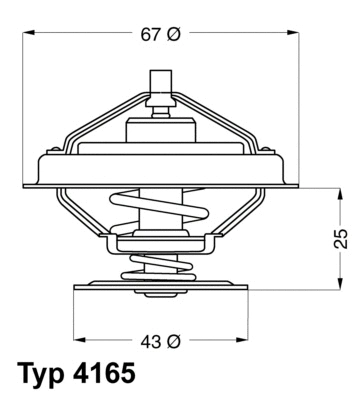 Thermostat, coolant (4165.79D)