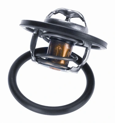 Thermostat, coolant