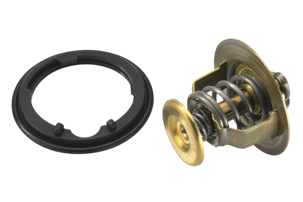 Thermostat, coolant