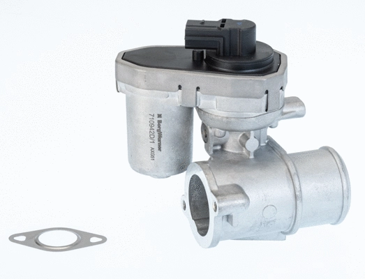 EGR Valve (710942D/1)