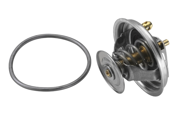 Thermostat, coolant