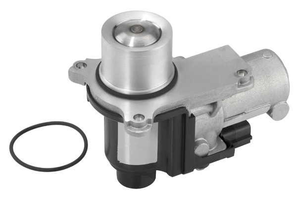 EGR Valve