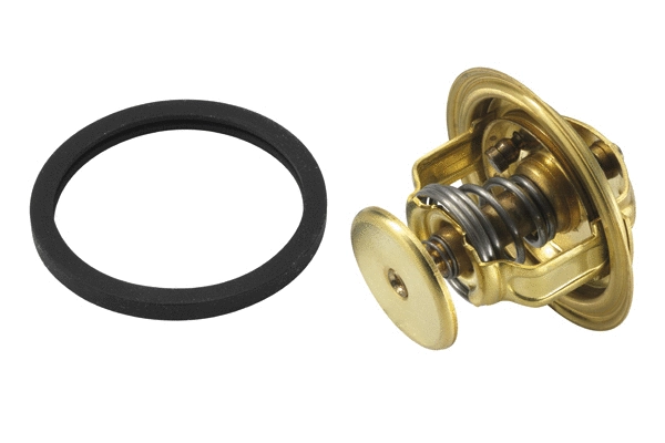Thermostat, coolant