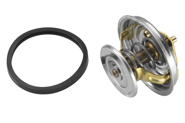 Thermostat, coolant (4158.80D)