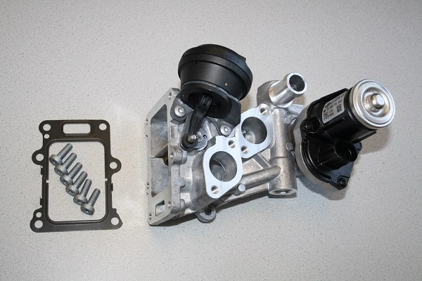 EGR Valve (710986D1)