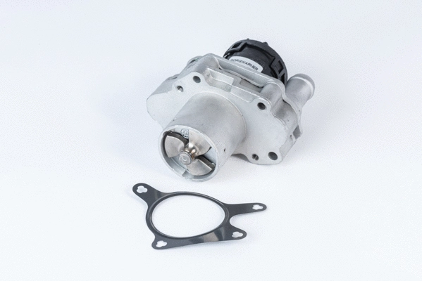 EGR Valve (710471R)