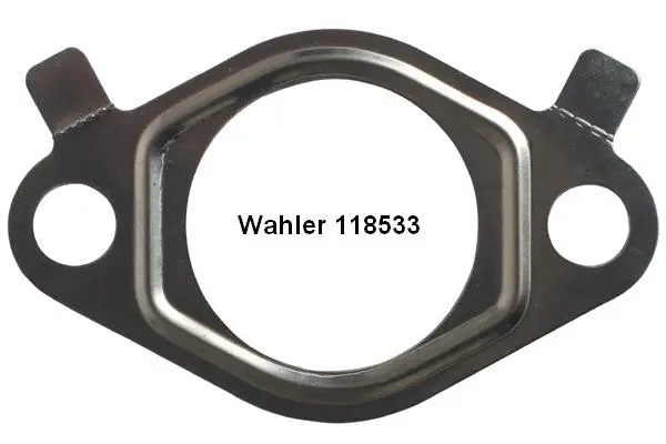 Gasket, EGR valve (118533)