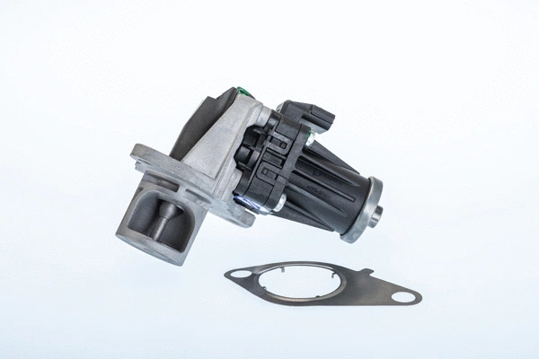 EGR Valve (710978R)