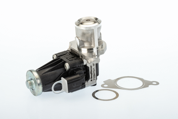 EGR Valve (710947D/1)
